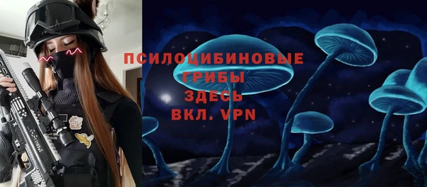 a pvp Михайлов