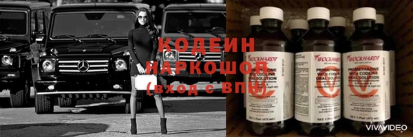 дурь Гусев