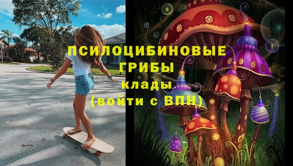 мдпв Болохово