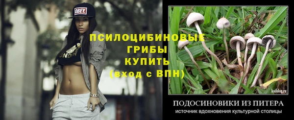 дурь Гусев
