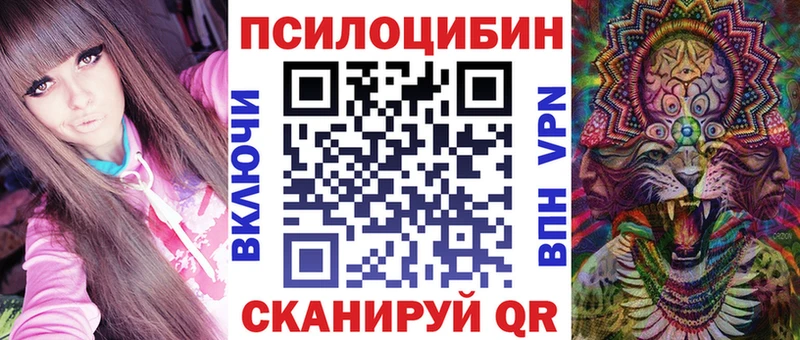 дарнет шоп  Данков  Галлюциногенные грибы Psilocybine cubensis 
